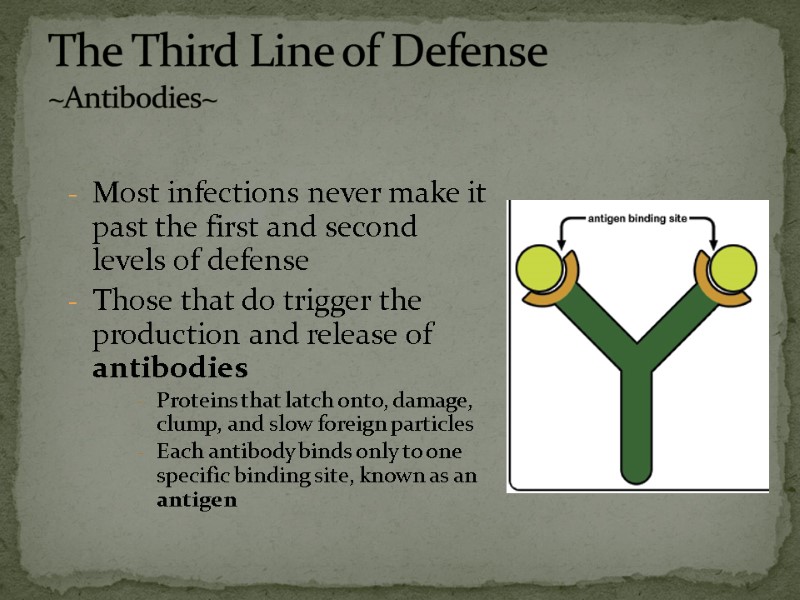Most infections never make it past the first and second levels of defense Those